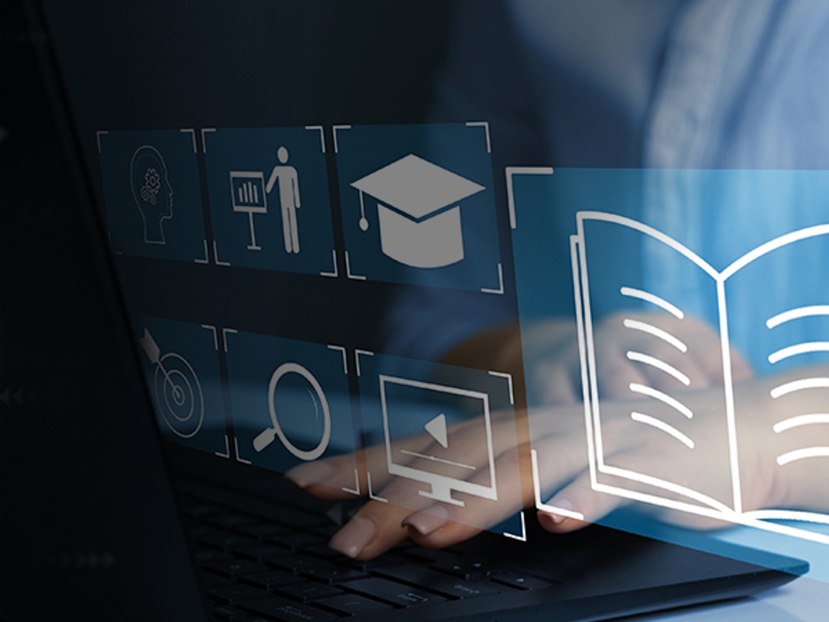 Estudos IPAM