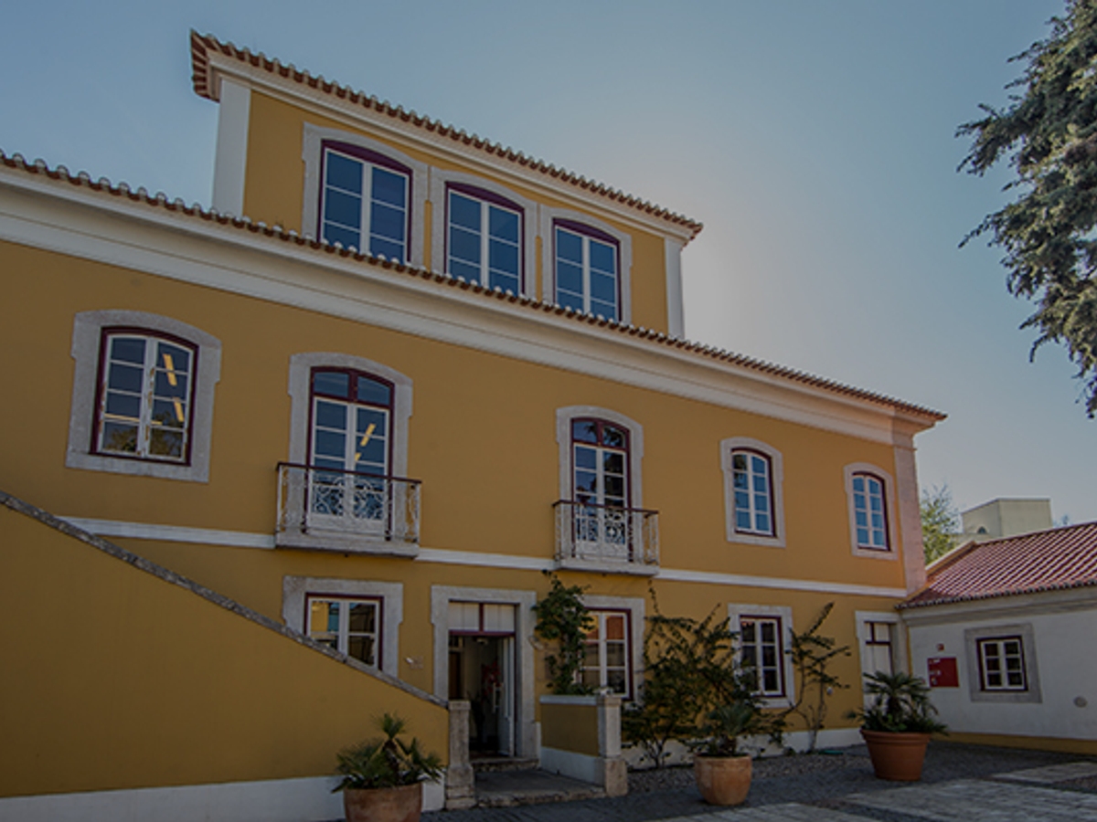 O IPAM Lisboa