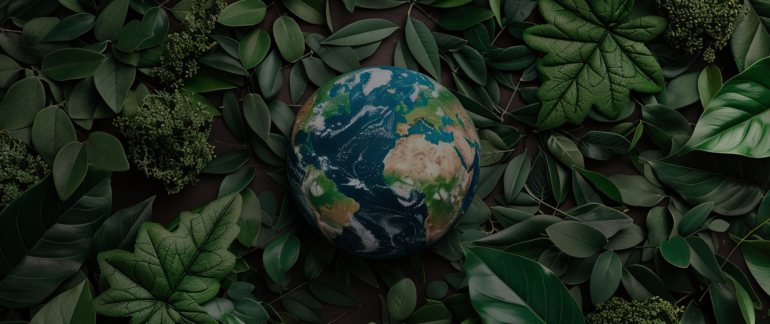 Economia Circular