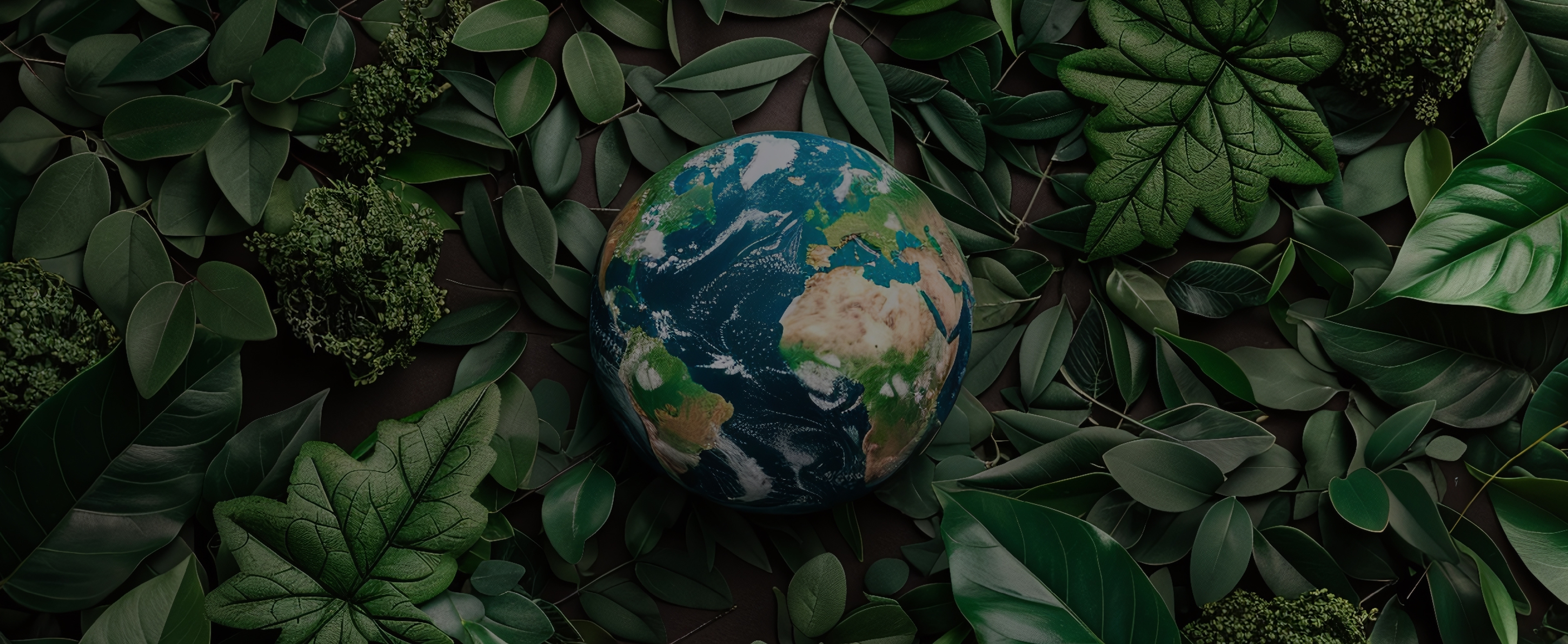 Economia Circular