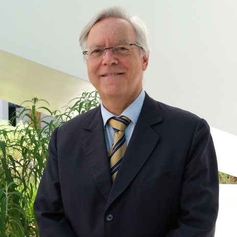 Docente Carlos Manuel Sá